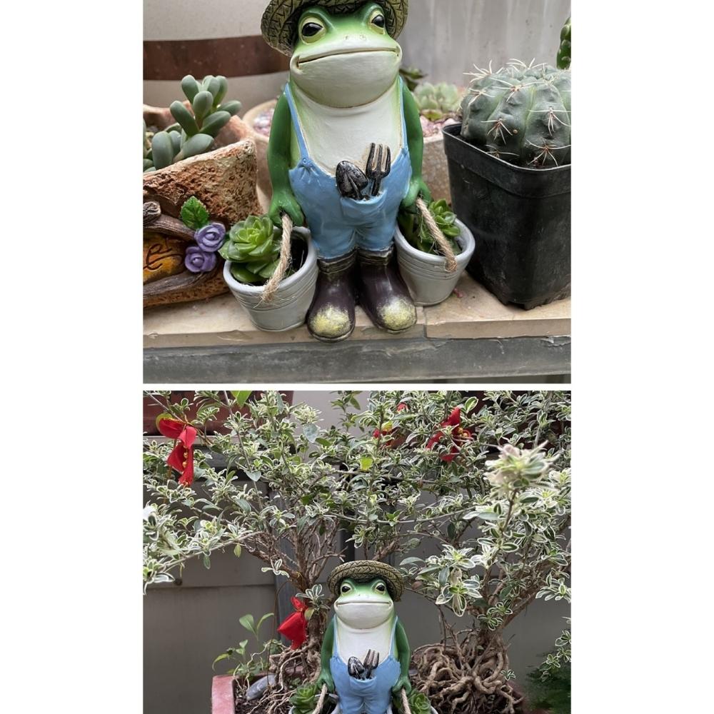 Frog Yard Décorations de jardin Figurine Décorations pour cour (ESG19761)